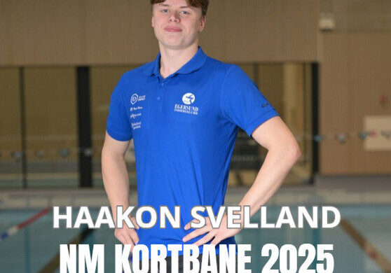 Skjermbilde 2025-11-12 132708